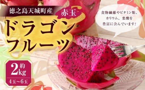 【2025年発送】徳之島 天城町産 ドラゴンフルーツ 赤玉 約2kg 家庭用