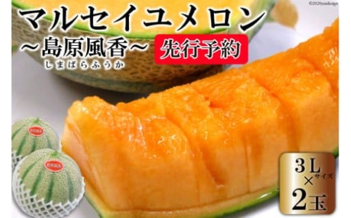 島原自慢のマルセイユメロン「島原風香」