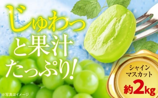 爽やかな香りのシャインマスカットをお届け！