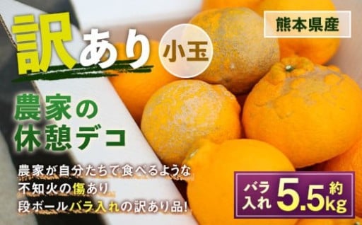 農家の休憩デコ 訳あり 小玉 約5.5kg 