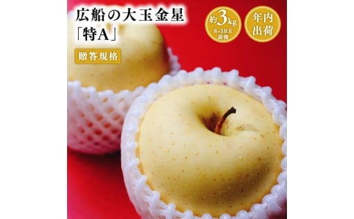 青森県産贈答規格 広船の大玉金星 約3kg 特A