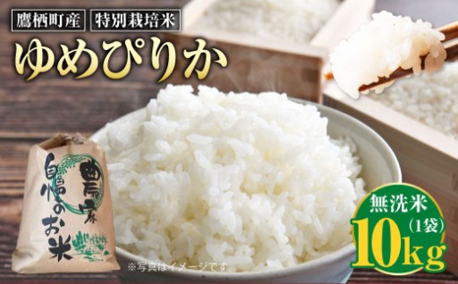 【令和7年産】ゆめぴりか（無洗米） 10kg