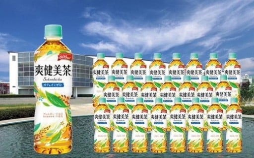 爽健美茶 600mlPET×24本