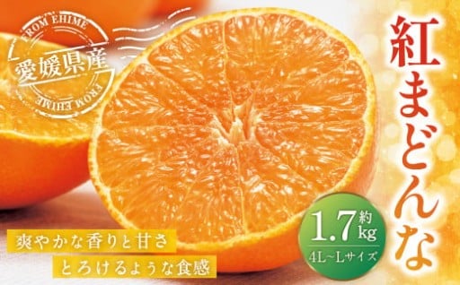 紅まどんな 約1.7kg 4L～Lサイズ 6～10個