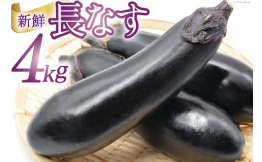 【9/30受付終了！】 野菜 長ナス 33～39本前後 4kg箱