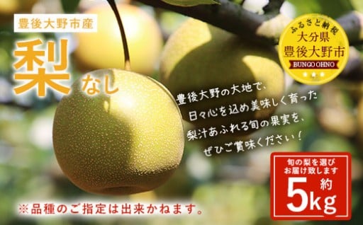 【先行予約】 大分県 豊後大野市産 梨 約5kg 