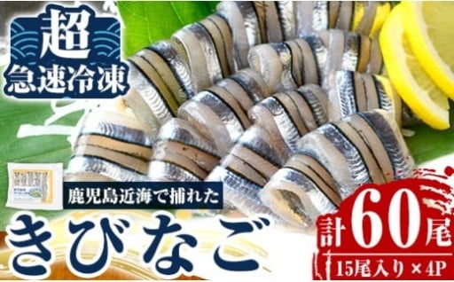 捕れたてキビナゴのお刺身(15尾入り×4P)