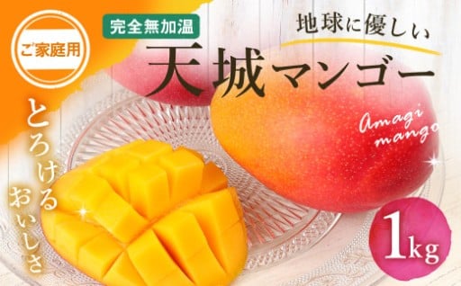 【2026年発送】【先行受付】徳之島 天城町産 完全無加温 完熟 マンゴー 家庭用 1kg