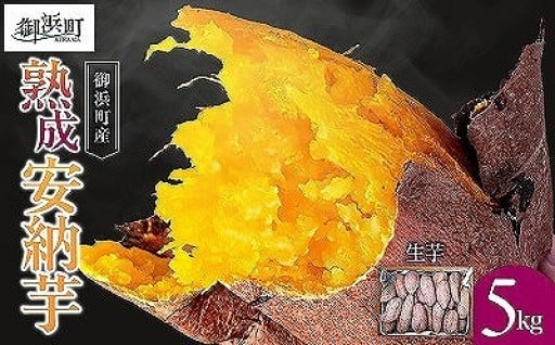 【身体にやさしい安納芋🍠】ブライトライフの熟成安納芋5キロ（生芋）