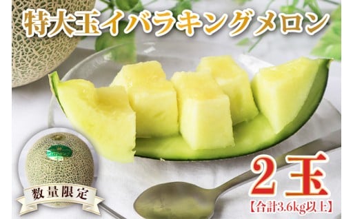 【2026年5月より順次発送】特大玉イバラキングメロン 2玉