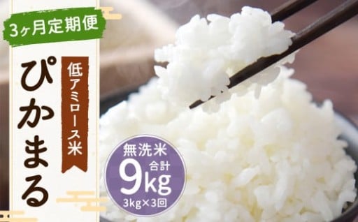 【3ヶ月定期便】低アミロース米 ぴかまる 3kg×3回