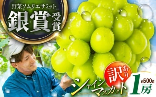 9月15日まで！訳ありシャインマスカット！