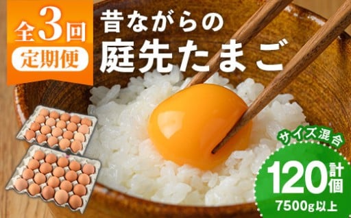 《定期便・計3回》昔ながらの庭先たまご (40個×3回 計120個・サイズ混合)