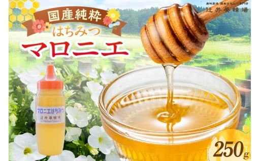 🍯マロニエはちみつ 250g🍯