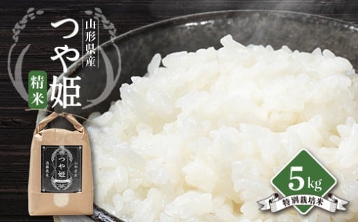 ＜令和7年産先行予約＞山形県川西町産　つや姫　白米 精米5kg【1462395】