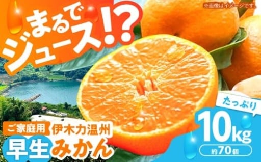 【25年12月発送】甘さ凝縮！長崎伊木力みかん10㎏