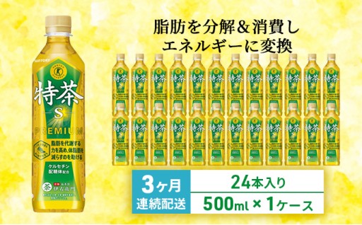 【定期便】伊右衛門特茶 500ml × 24本