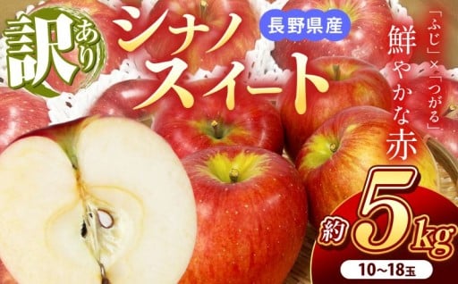 南信州産 シナノスイート 訳あり 約5kg 