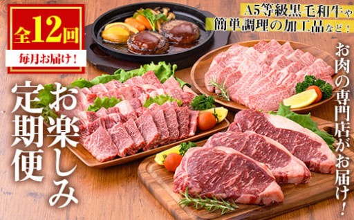  ＜定期便・全12回(連続)＞大人気の返礼品定期便(ステーキ、ハンバーグ、ローストビーフなど)【カミチク】