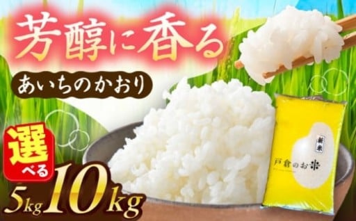 ＼大粒で食べごたえ抜群、あいちのかおり新米／【選べる内容量】 あいちのかおり 白米