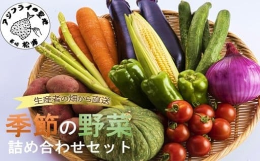 《 発送月が選べる 》季節の野菜詰め合わせ🍅