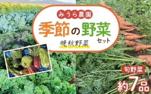 みうら農園 季節の野菜セット おまかせ7品