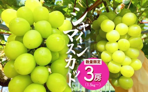 ≪先行予約≫ シャインマスカット 3房（1.5〜2kg） 