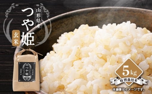 ＜令和7年産先行予約＞山形県川西町産　つや姫　玄米5kg【1462379】