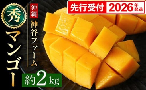 【化粧箱入】神谷ファームのマンゴー（秀）約2kg【先行受付・2026年発送】