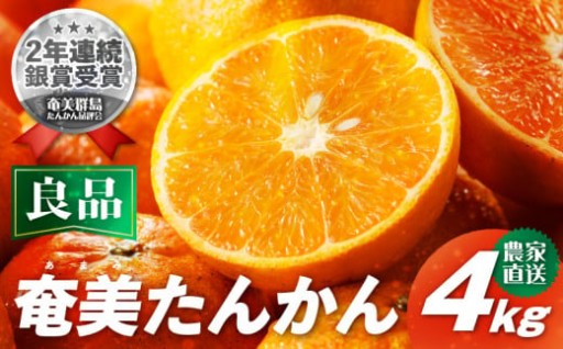 🍊【2026年先行予約】農家直送 奄美たんかん 良品（家庭用） 4kg🍊