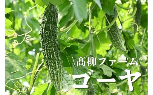 この時期にしか味わえない季節限定の味覚をぜひご賞味ください！
