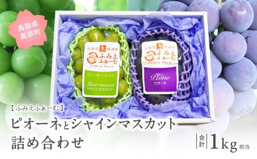濃厚ジューシーなシャインマスカット、ピオーネです
