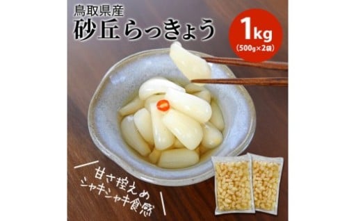 【業務用】鳥取県産砂丘らっきょう　500ｇ×2