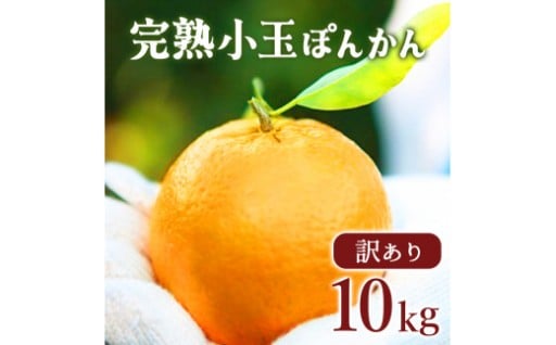 【先行予約】訳アリ完熟小玉ぽんかん＜10kg＞