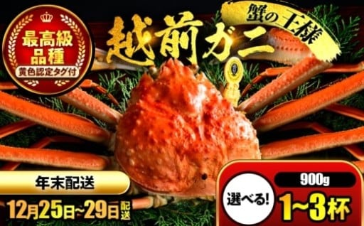 ＼年末に味わう贅沢、産地直送の越前がに／越前がに 900ｇ＼選べる杯数／