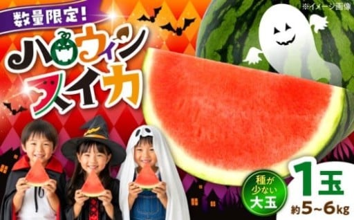【先行予約・数量限定】 熊本ハロウィンすいか1玉（約5～6kg） 
