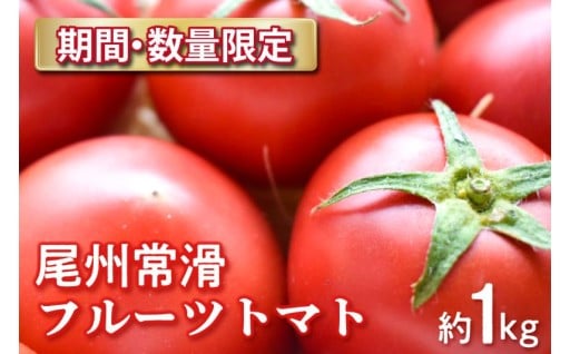 【先行予約】【2026年3月下旬から順次発送】🍅尾州常滑フルーツトマト麗妃🍅