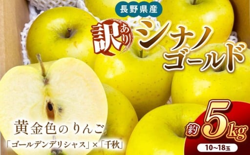 南信州産 シナノゴールド 訳あり 約5kg