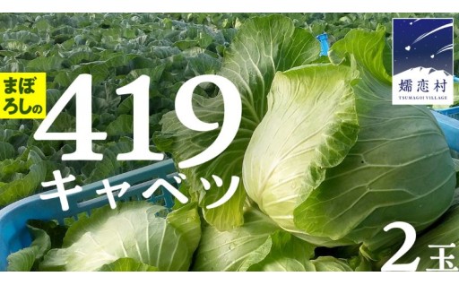 注目の419キャベツをご紹介！