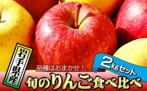 ※本返礼品は訳ありりんごです※