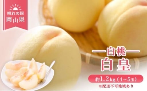 桃 岡山県産 白皇 （ 白桃 ） 約1.2kg （4～5玉） 《2026年8月中旬-8月下旬頃出荷》