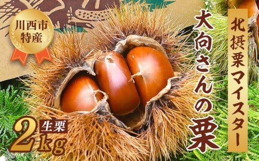 【数量限定】今年も川西特産『北摂栗』の受付開始