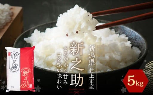 【令和6年産米】村上市産 新之助 5kg