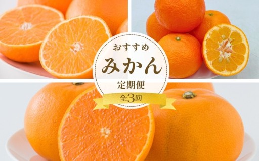 【全3回定期便】人気柑橘3種「紅まどんな6個」「伊予柑2.2kg」「せとか6個」のみかん定期便🚚