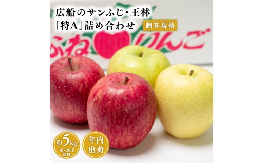 青森県産贈答用 サンふじ・王林詰合せ 約5kg