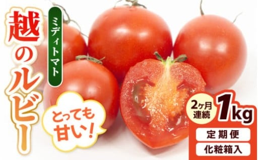 【先行予約】高糖度✨濃厚な味わい✨ブランドトマト