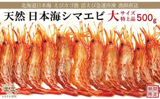 早期予約受付中「天然日本海シマエビ🦐」