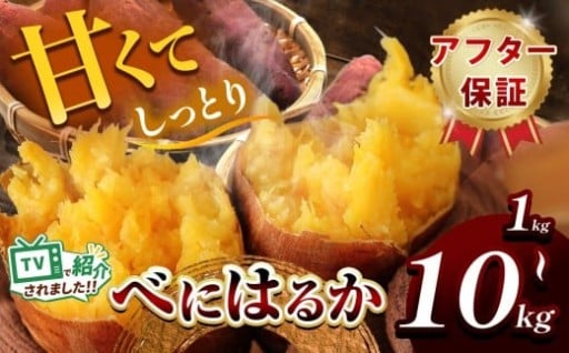 甘くておいしい！べにはるか 1kg ~ 10kg 先行予約 