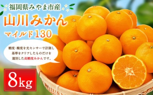 B35 山川みかん 8kg 