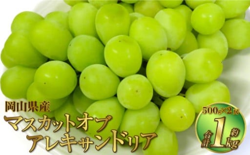 【受付終了間近！】岡山県産 マスカットオブアレキサンドリア 約1kg（500g×2房）
